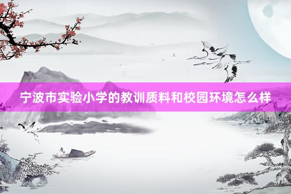 宁波市实验小学的教训质料和校园环境怎么样